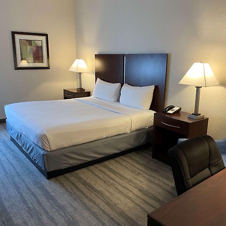 Best Western Tampa Dış mekan fotoğraf