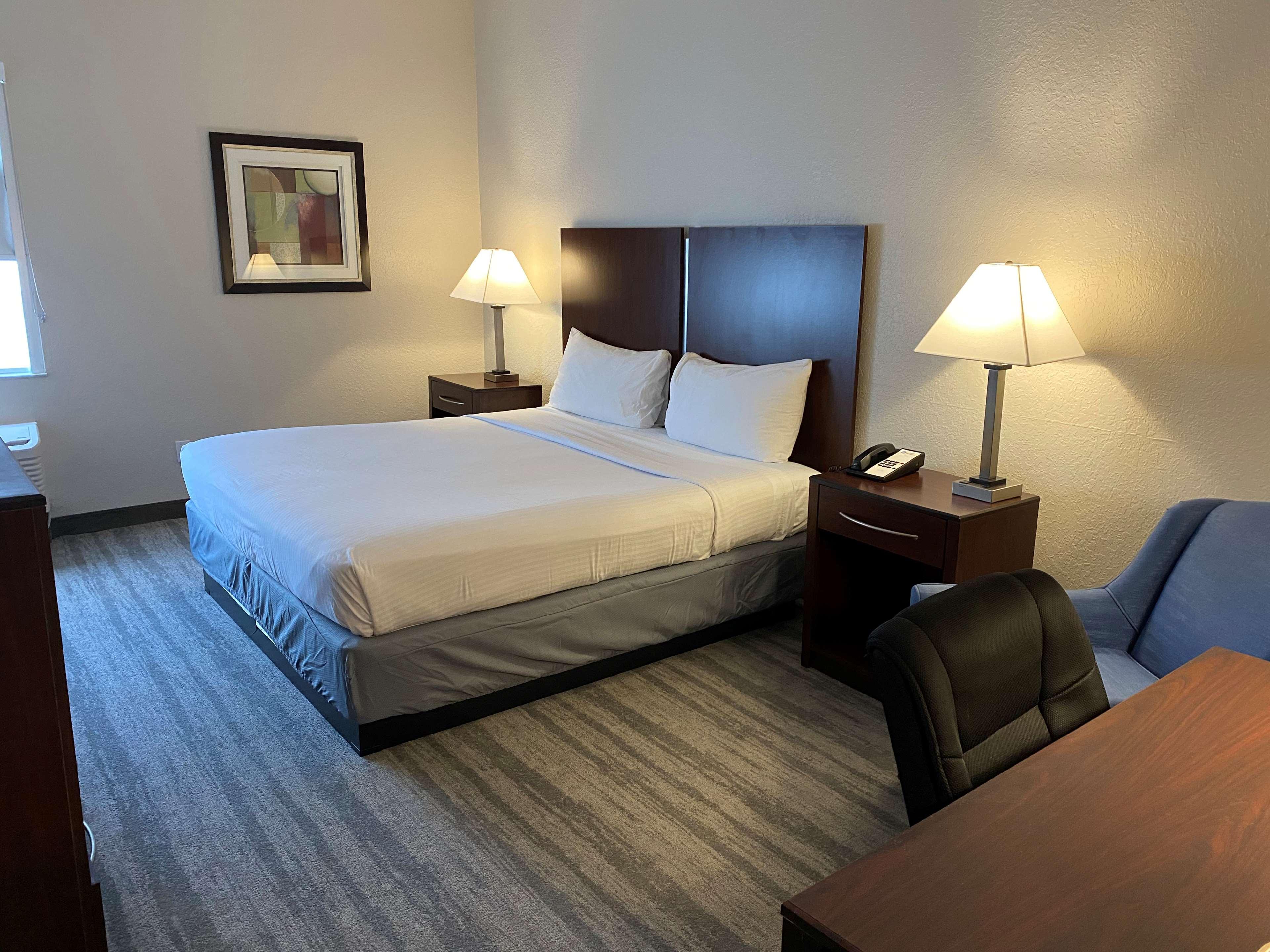 Best Western Tampa Dış mekan fotoğraf
