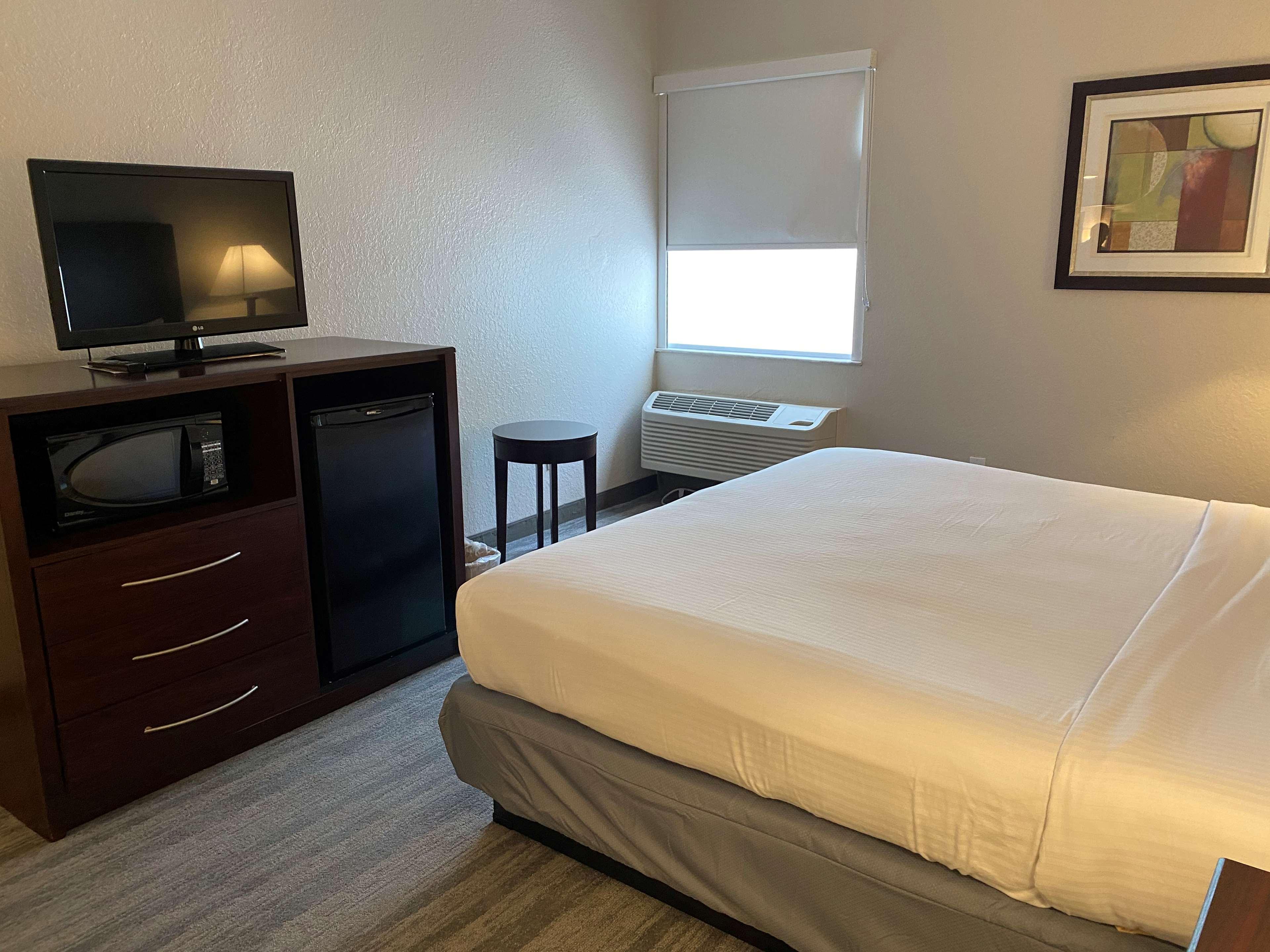 Best Western Tampa Dış mekan fotoğraf