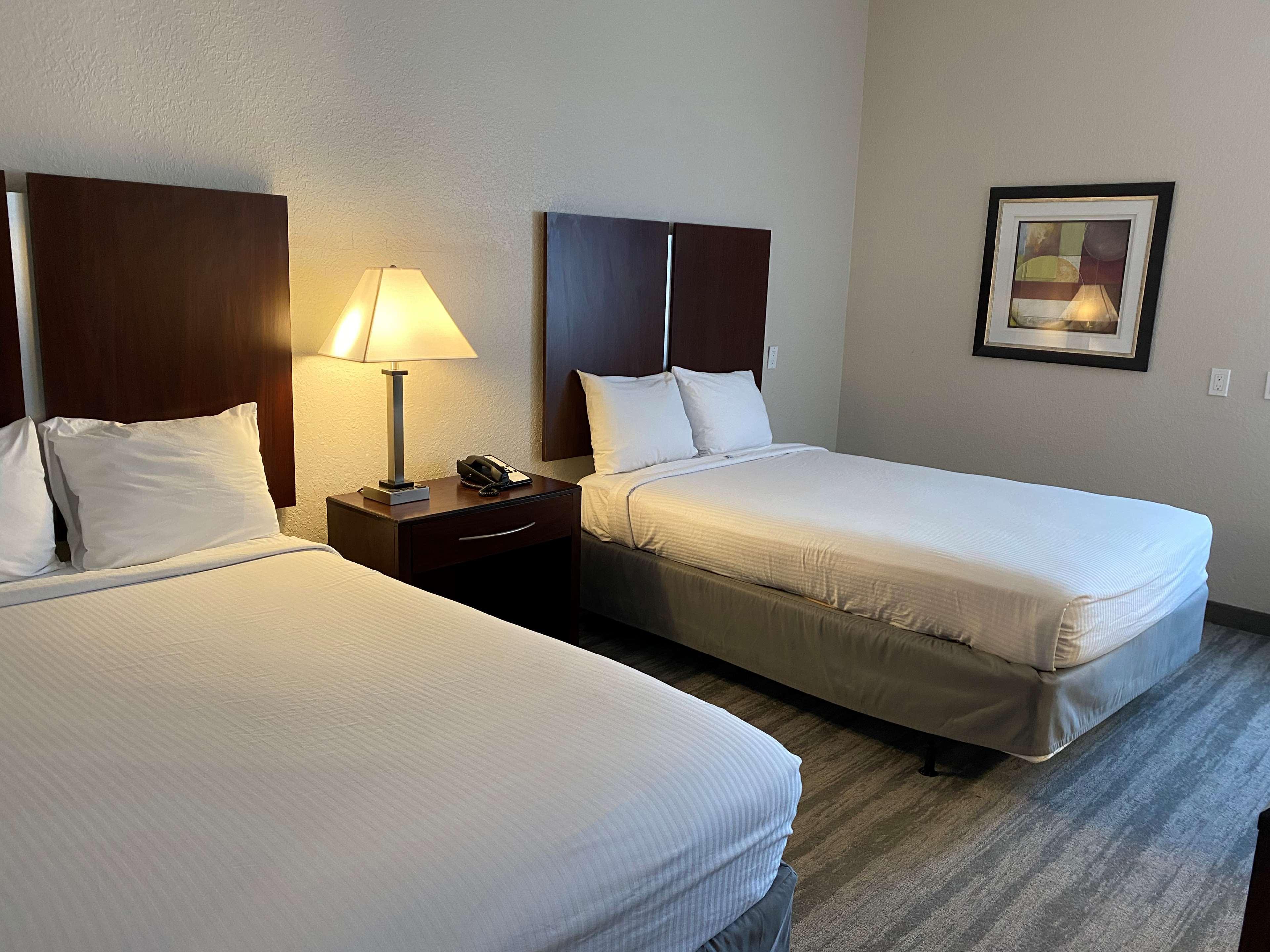 Best Western Tampa Dış mekan fotoğraf