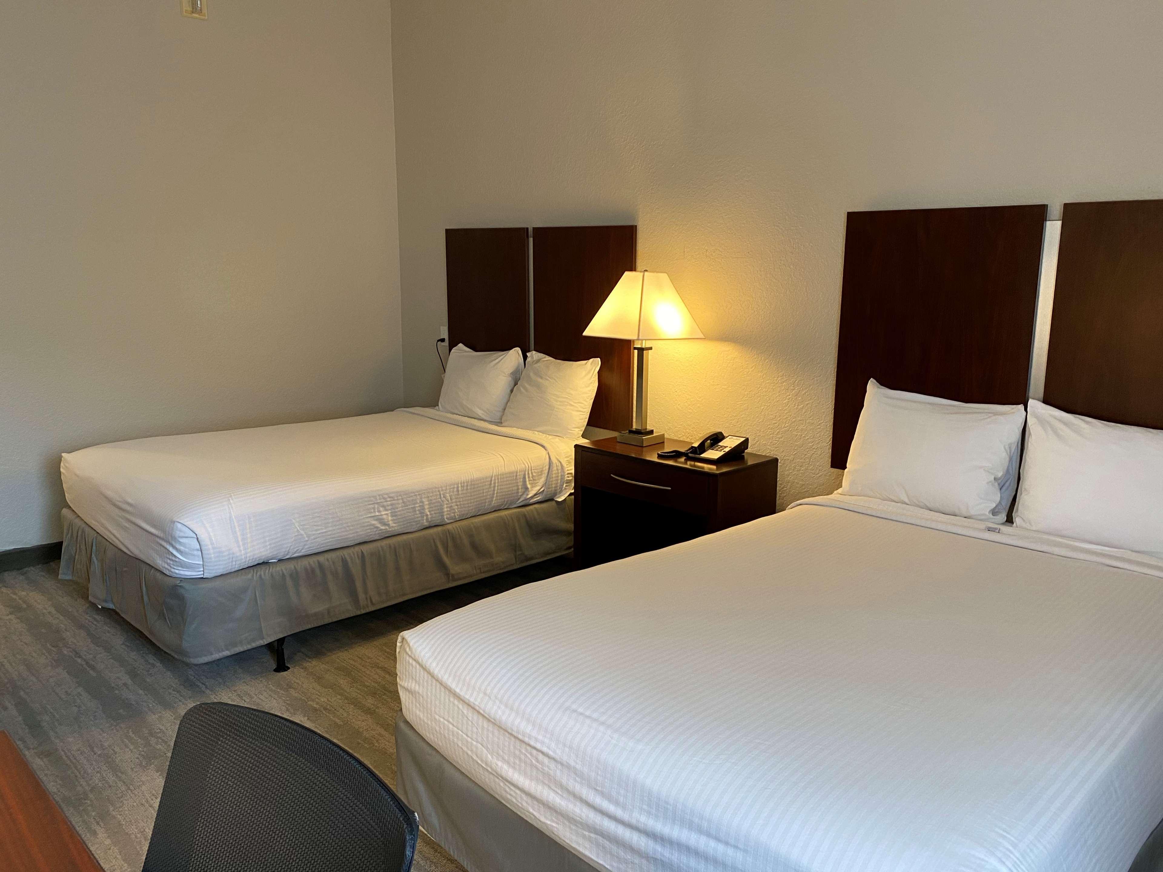 Best Western Tampa Dış mekan fotoğraf