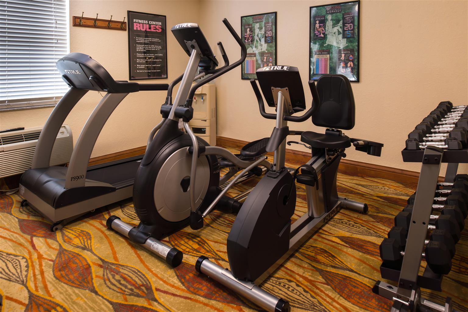Best Western Tampa Dış mekan fotoğraf